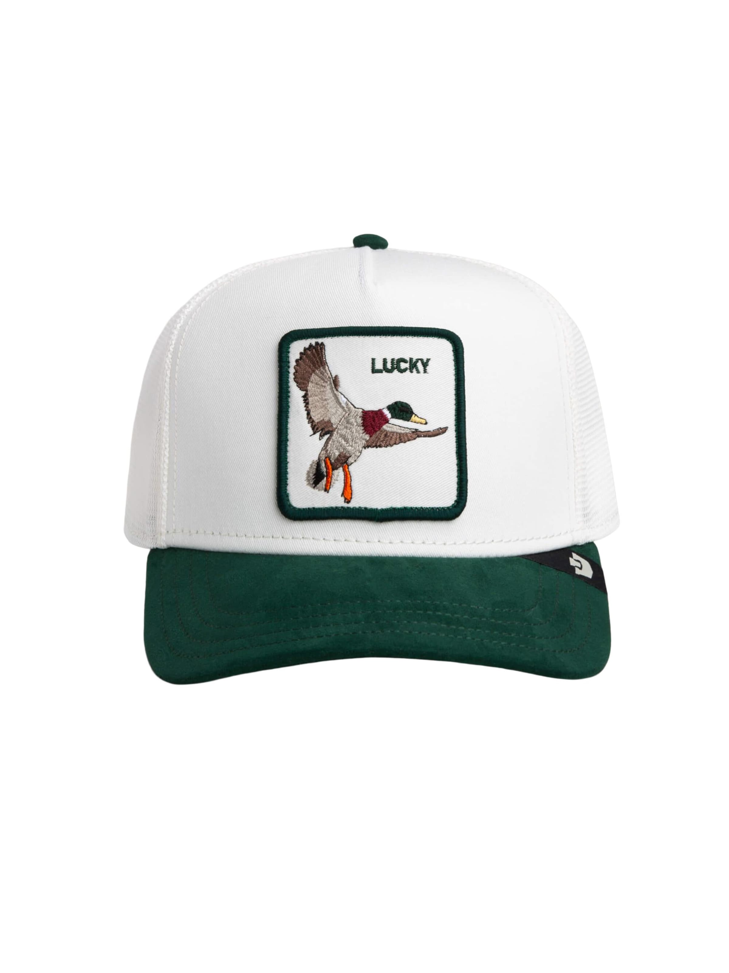 GOORIN Bros. Cap 'Duck' in Mixed colors: front