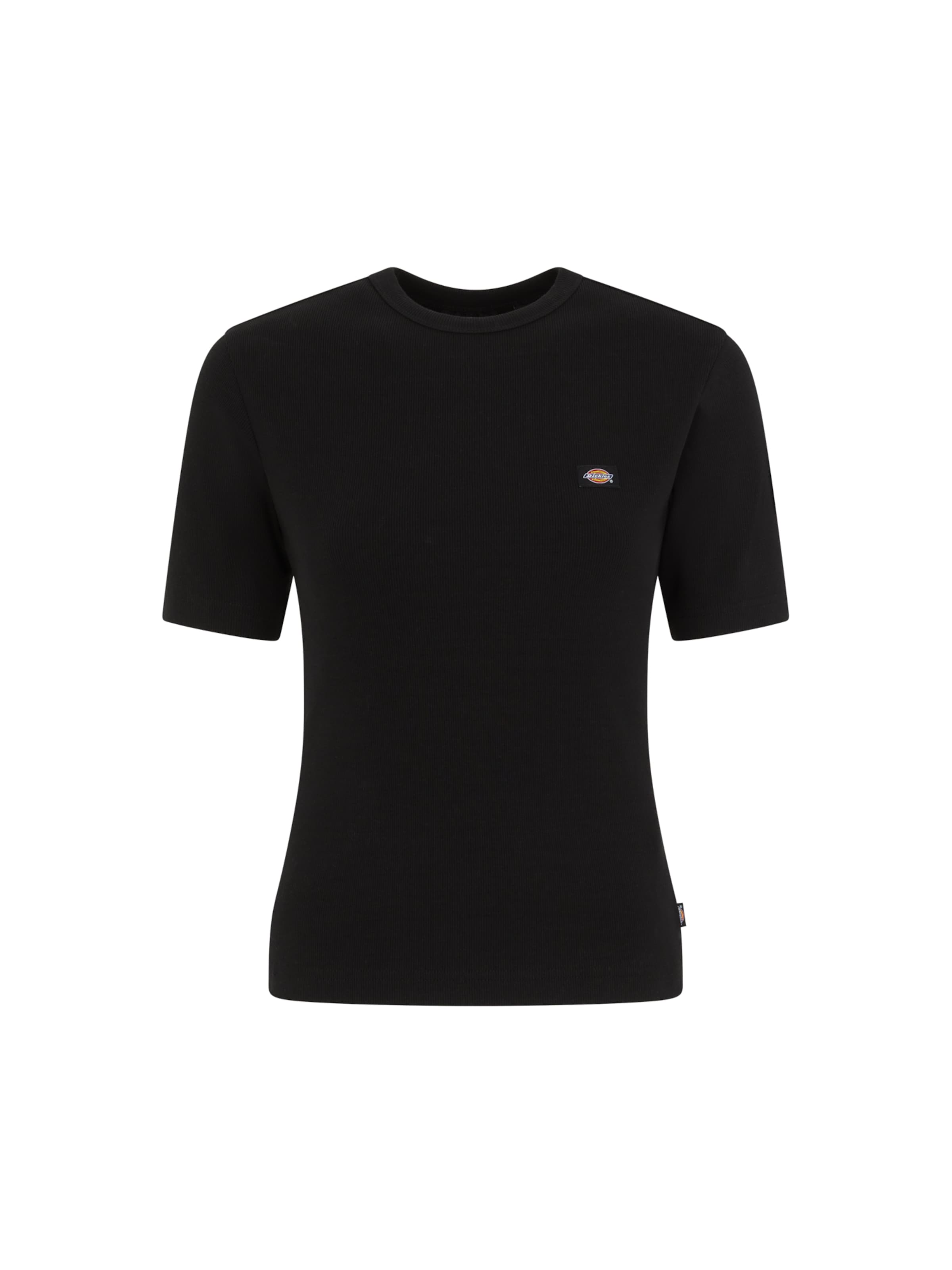 DICKIES Футболка в Черный: спереди