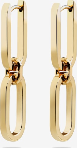 Guido Maria Kretschmer Jewellery Earrings in Gold: front