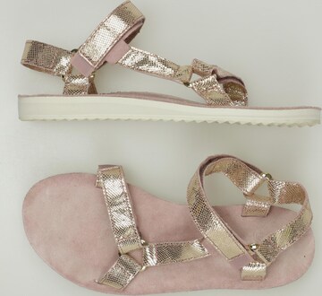 High heeled tevas sales