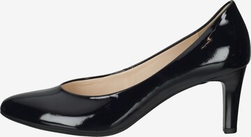 Högl Pumps 'Studio 60' in Black