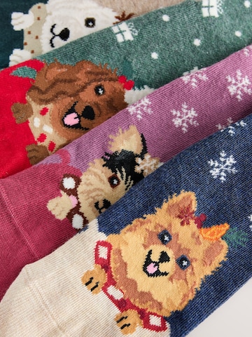Next Socken in Beige