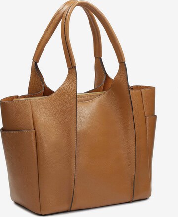 Kazar Shopper in Bruin