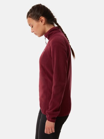 THE NORTH FACE - Pullover desportivo 'Glacier' em vermelho