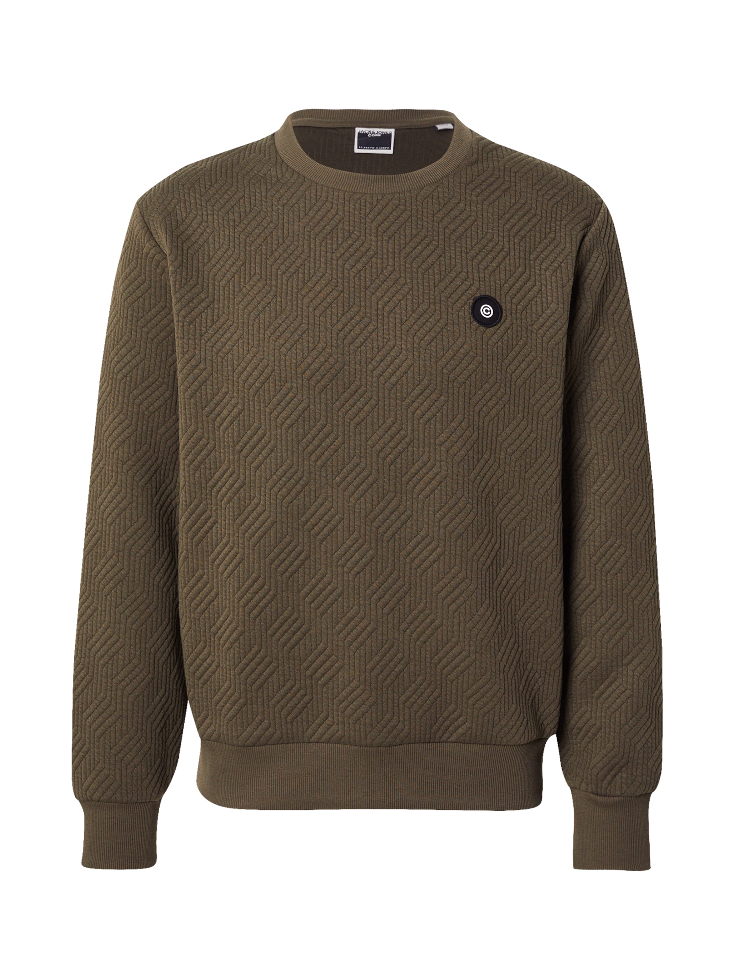JACK & JONES Sweatshirt 'JCOGEO' in Grün: Vorderseite
