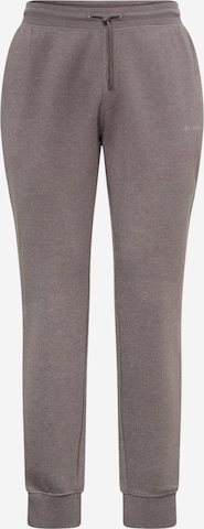 COLUMBIA Tapered Pants in Grey: front