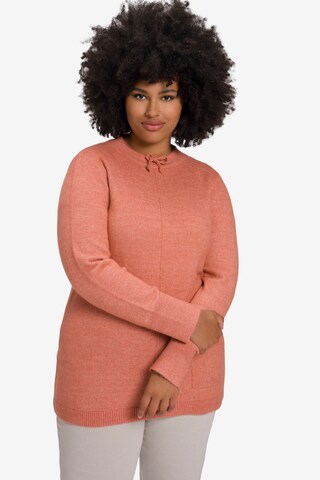 Ulla Popken Pullover in Orange: predná strana