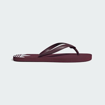 Tongs 'Adi Sun' ADIDAS ORIGINALS en rouge