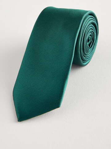 Accessoire de costume Next en vert