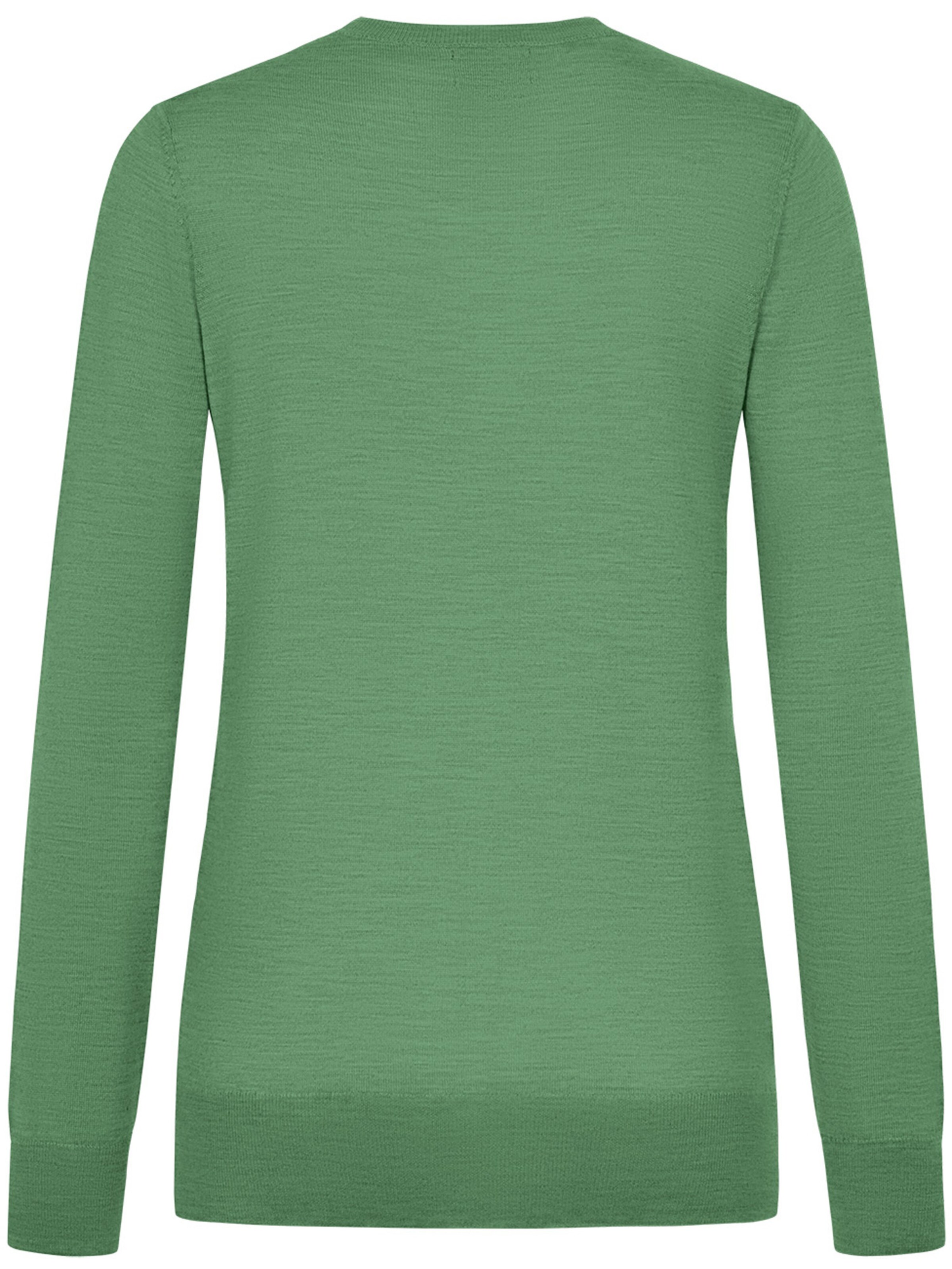 GIESSWEIN Pullover in Grün