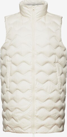 ESPRIT Bodywarmer in Grijs: voorkant