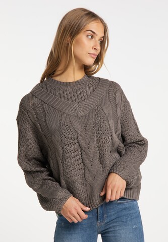 Pull-over MYMO en marron : devant