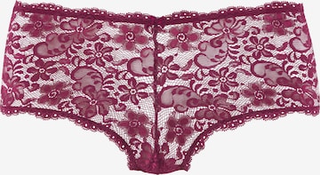 NUANCE Boyshorts in Purple: front