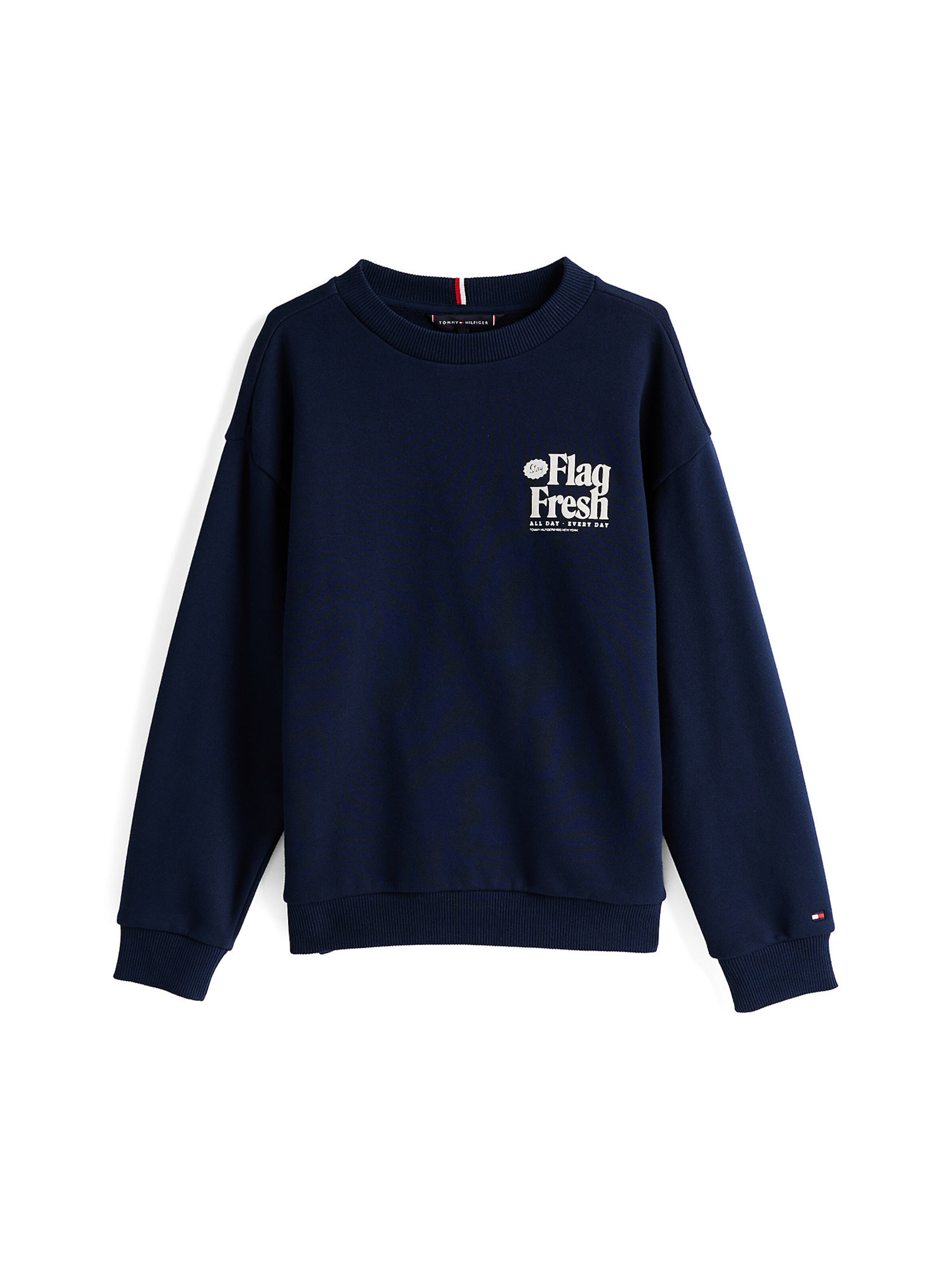 Sweat TOMMY HILFIGER en bleu : devant