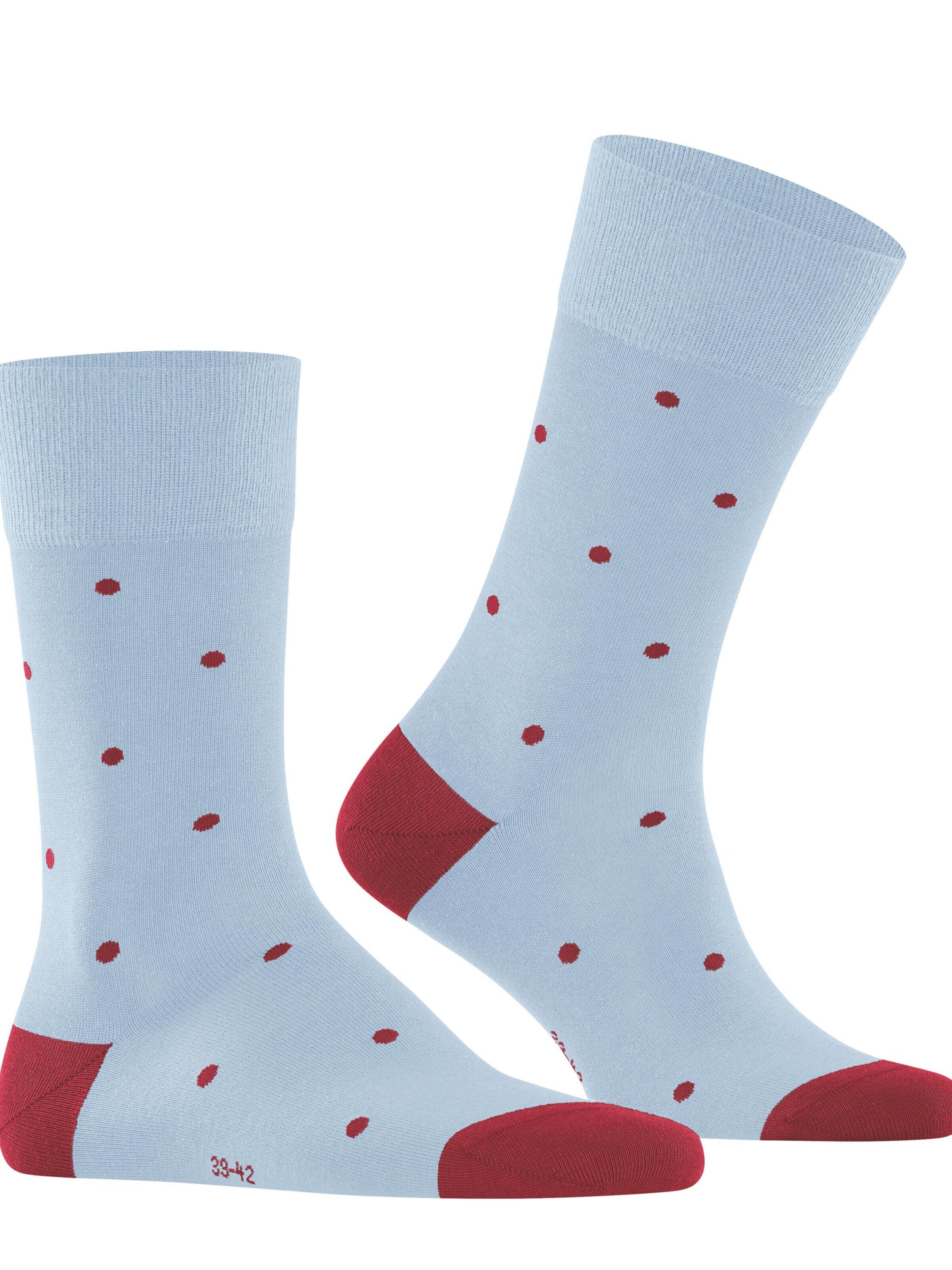 FALKE Socks 'Dot' in Blue: front