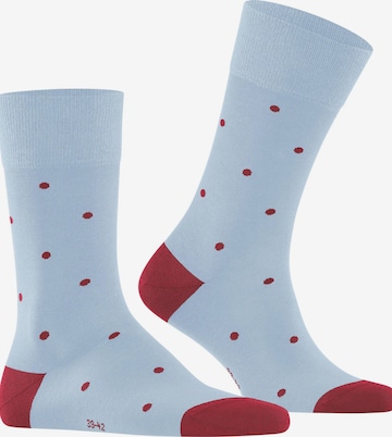 FALKE Socks 'Dot' in Blue: front