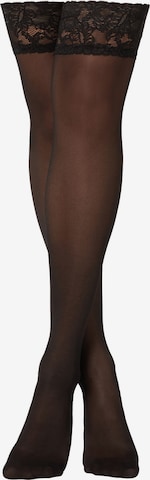 CALZEDONIA Hold-up stockings in Black: front