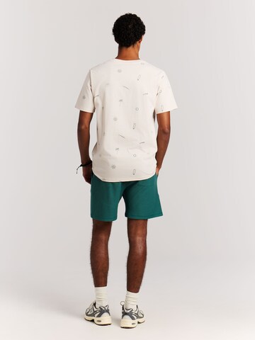 PROTEST Regular Pants 'PRTGraig' in Green