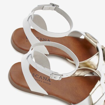 LASCANA Strap Sandals in White