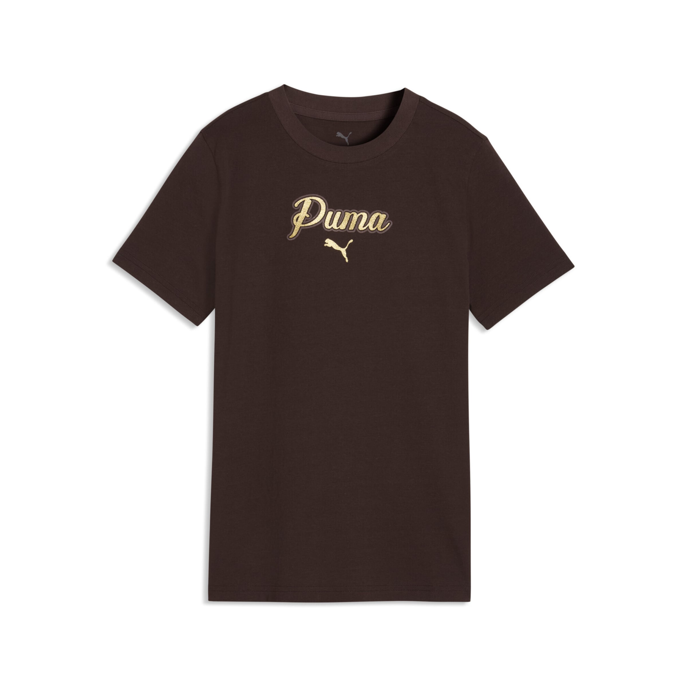T-Shirt fonctionnel PUMA en marron : devant