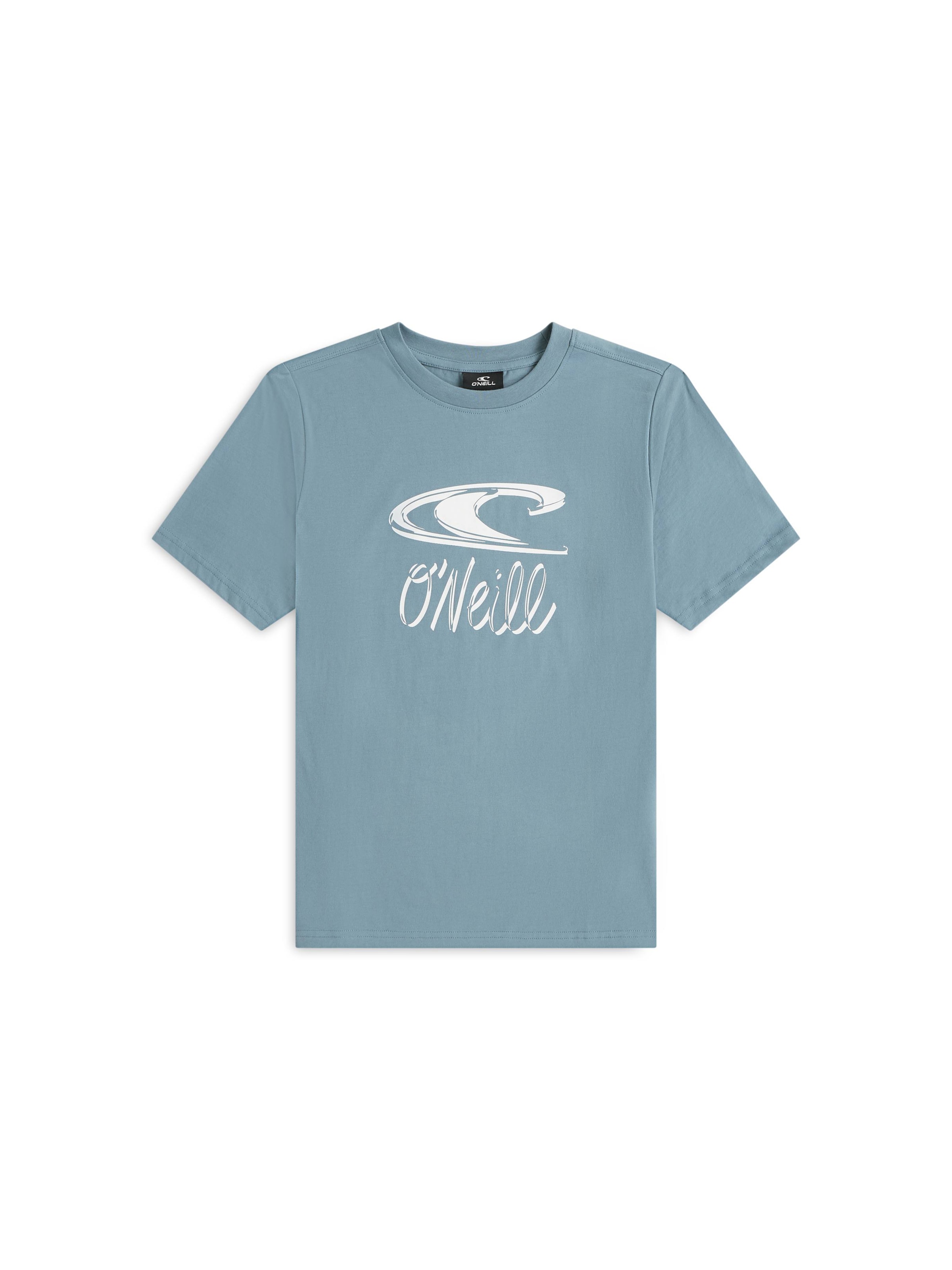 O'NEILL Shirt in Blauw: voorkant
