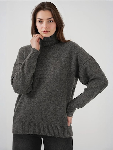 Bigdart Trui in Grijs: voorkant