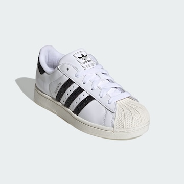 Baskets basses 'Superstar II' ADIDAS ORIGINALS en blanc