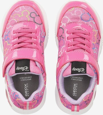 GEOX Sneaker in Pink