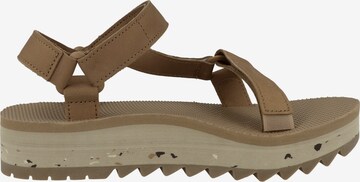 TEVA Hiking Sandals 'Universal Ceres' in Brown