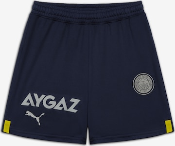 PUMA Regular Workout Pants 'Fenerbahçe S.K.' in Blue: front