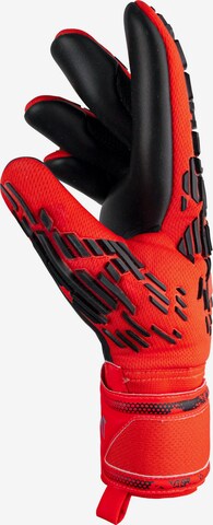 REUSCH Athletic Gloves 'Attrakt Freegel Silver' in Red