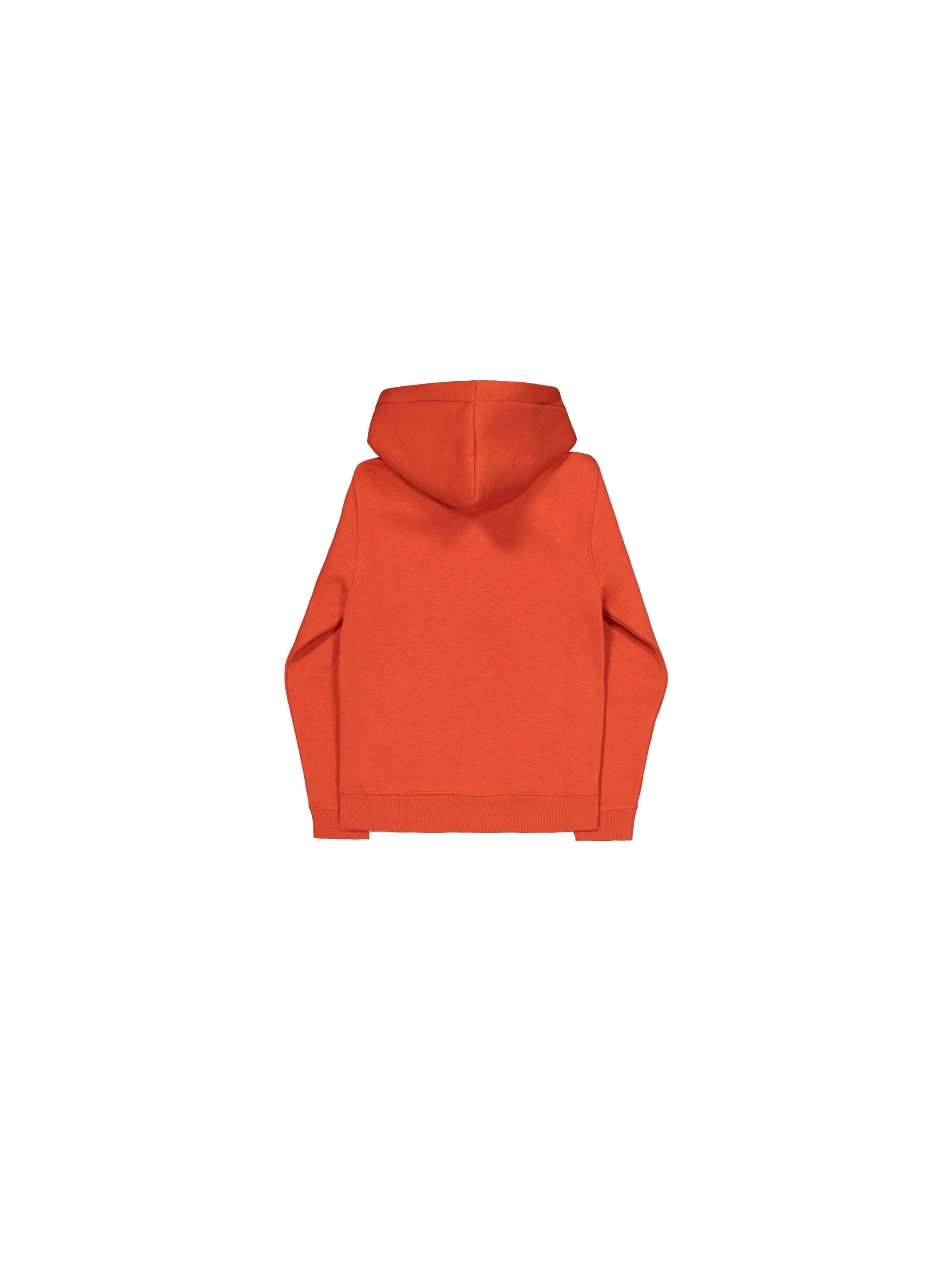 ALPHA INDUSTRIES Sweatshirt in Red: back