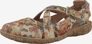 JOSEF SEIBEL Sandals 'Rosalie' in Beige: front