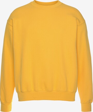 FRUIT OF THE LOOM Sweatshirt in Yellow: front