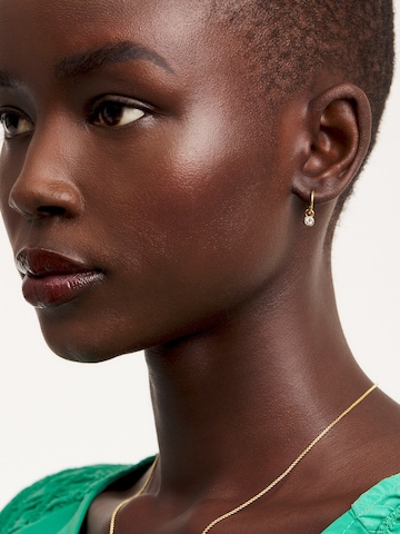 Ted Baker Earrings 'SINALAA' in Gold: front