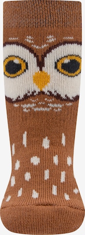 ruda EWERS Kojinės 'Eule': priekis