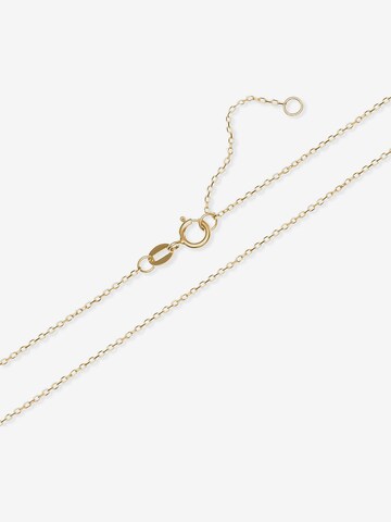 FAVS Kette in Gold