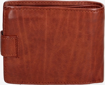 Sergio Valentini Wallet in Brown: front