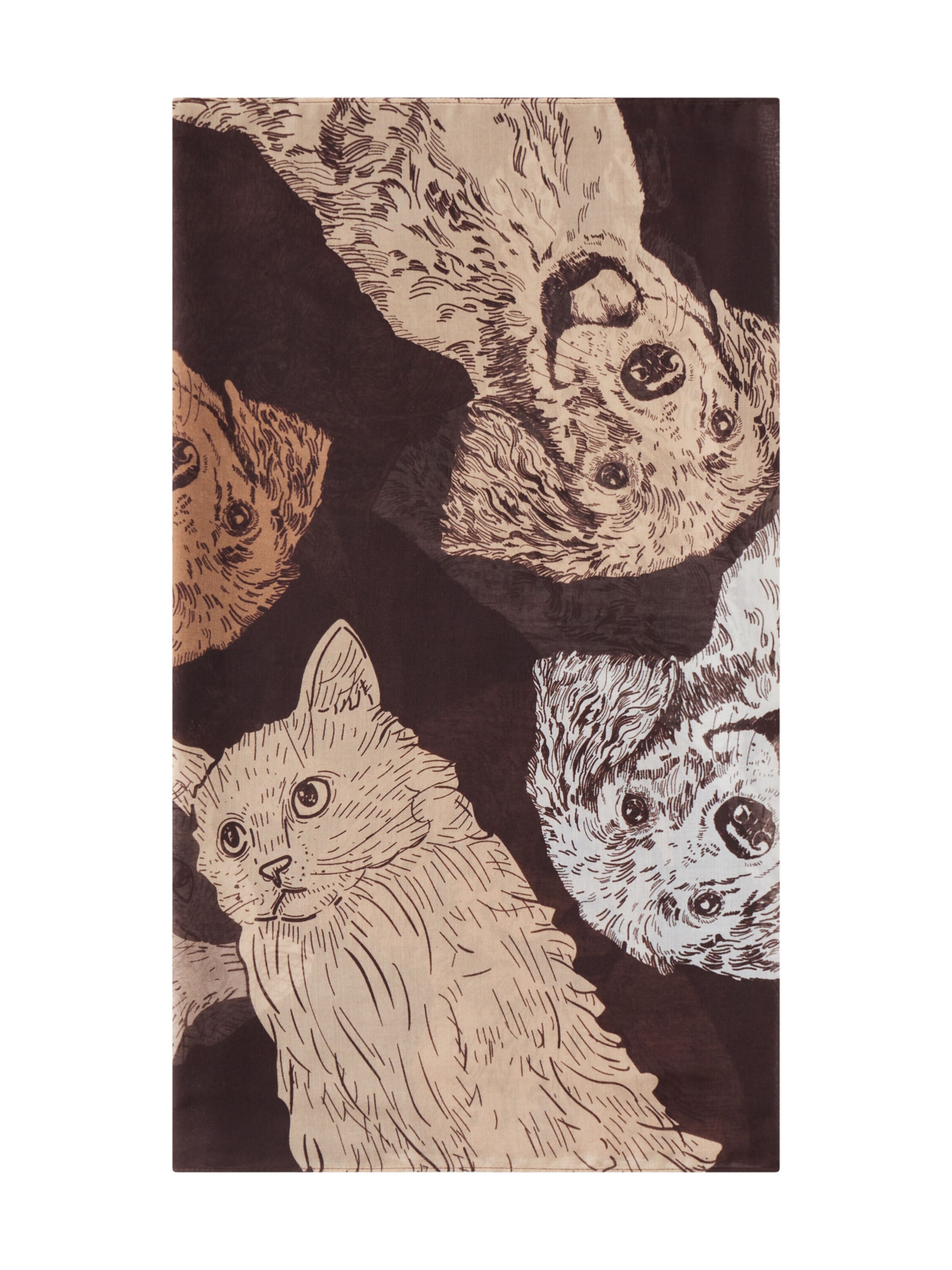 CODELLO Sjaal in Bruin