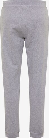 SOMWR Regular Pants 'Sapwood' in Grey