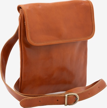 Viola Castellani Crossbody bag in Brown: front