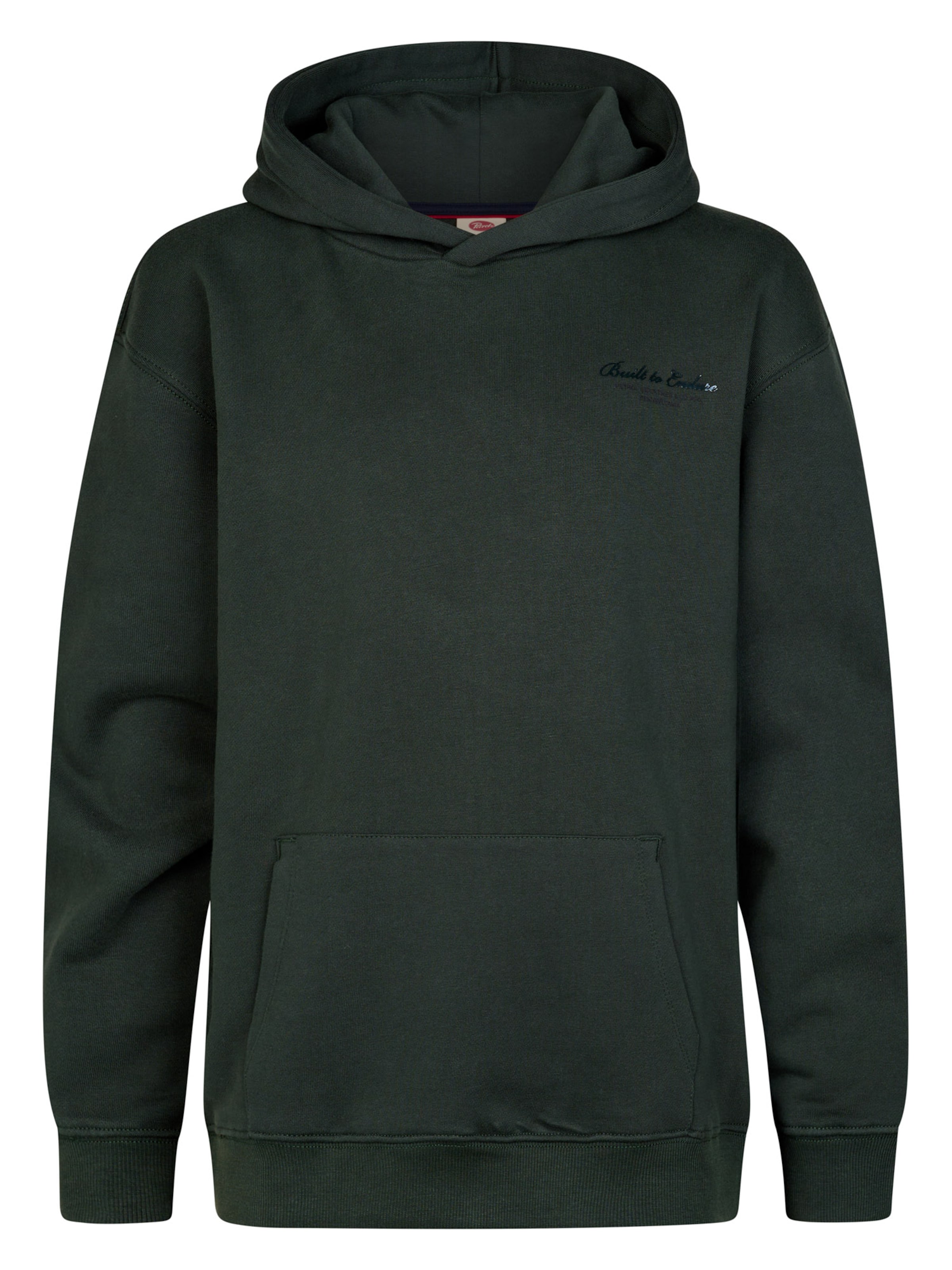 Petrol Industries Sweatshirt in Grün: Vorderseite