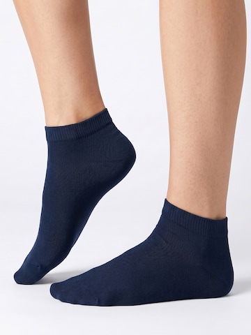footstar Socken 'EVERYDAY!'‌‌‌ in Blau