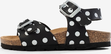 Bayton Sandale 'Pegase' in Schwarz: Vorderseite