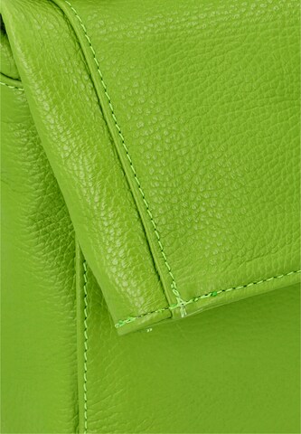 faina Handbag in Green