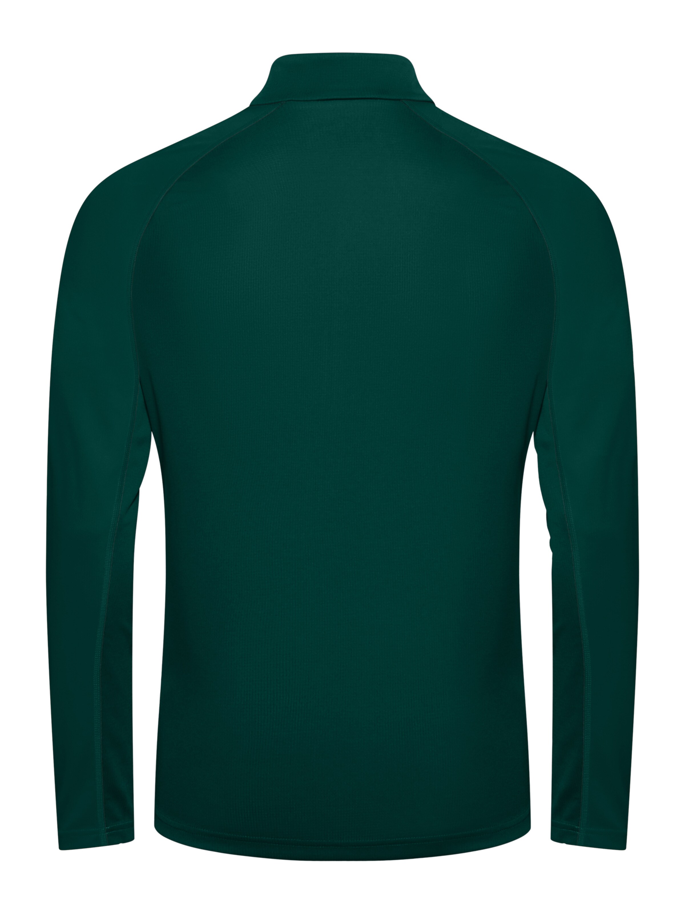 VAUDE Performance Shirt 'Larice Light II' in Green