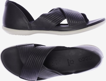 ECCO Sandals & High-Heeled Sandals in 42 in Black: front