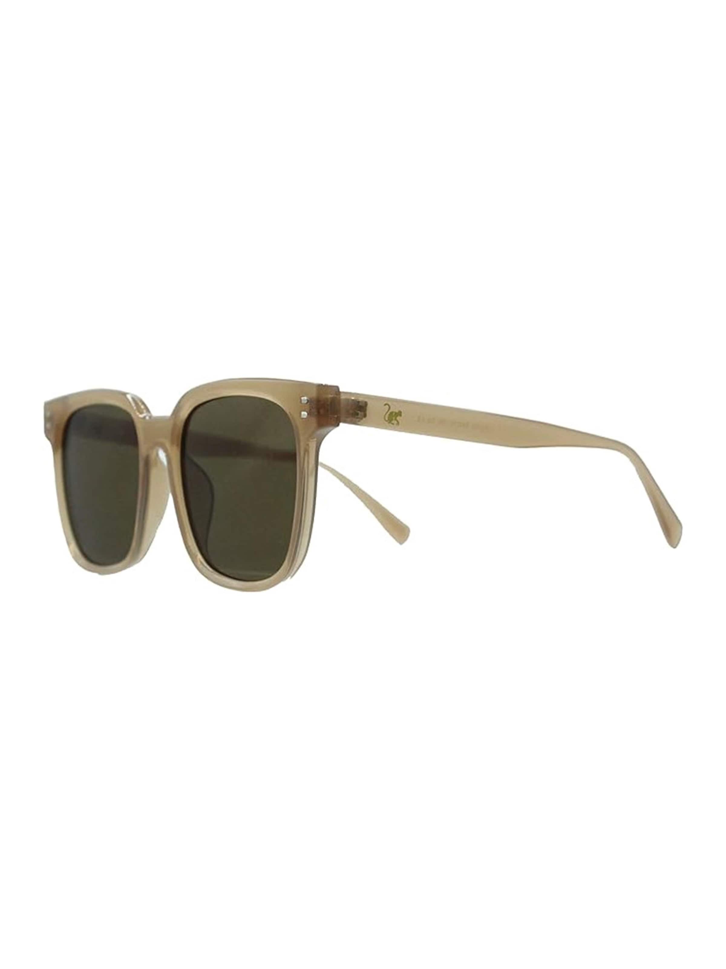 Surf Monkey Sunglasses in Brown: front