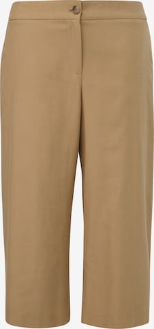 TRIANGLE Wide leg Pants in Brown: front