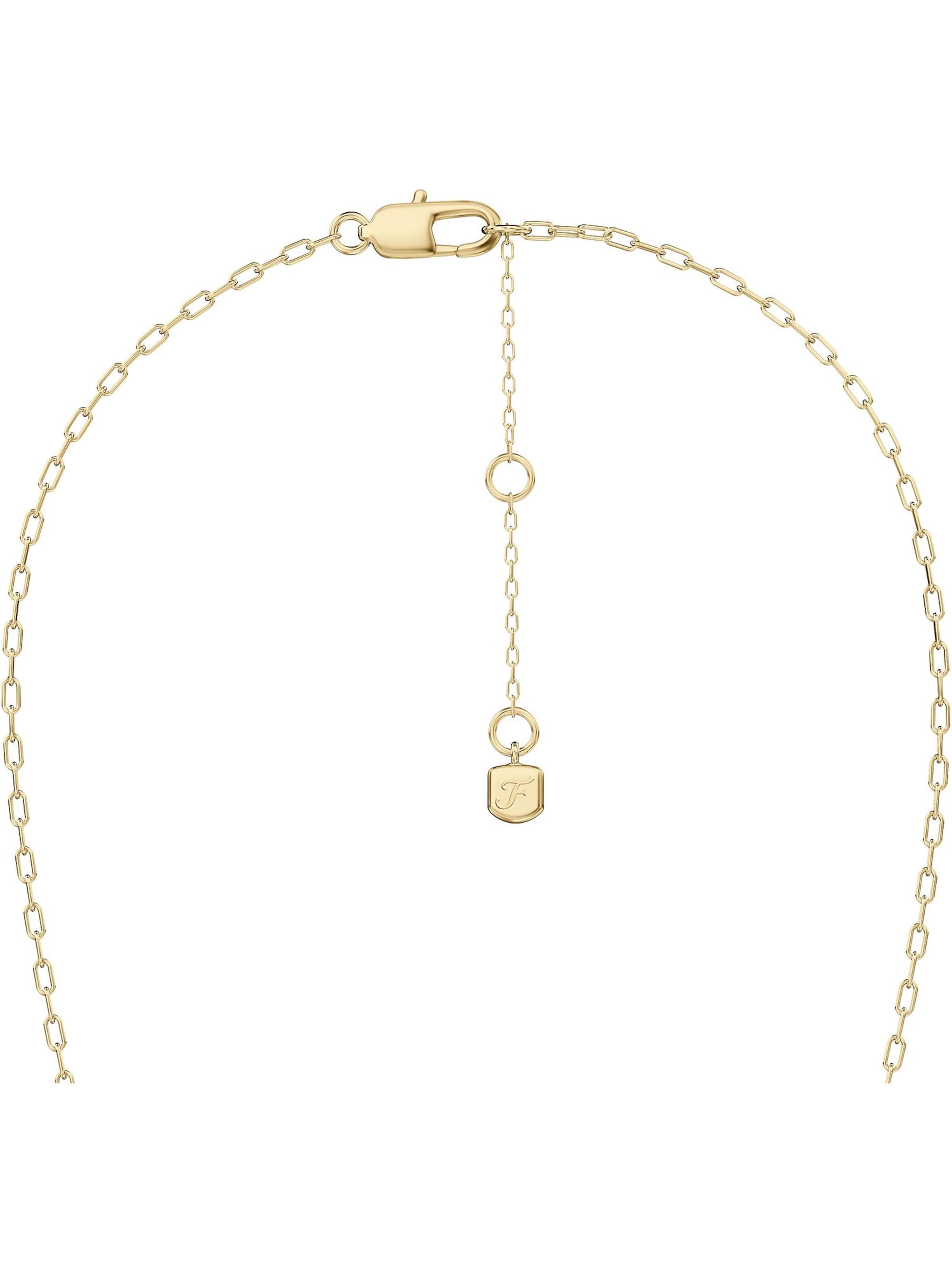 FOSSIL Necklace in Gold